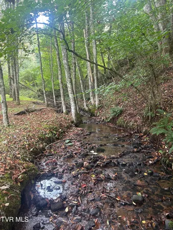 $449,900 | 21240 Locust Branch Road, Damascus, VA 24236