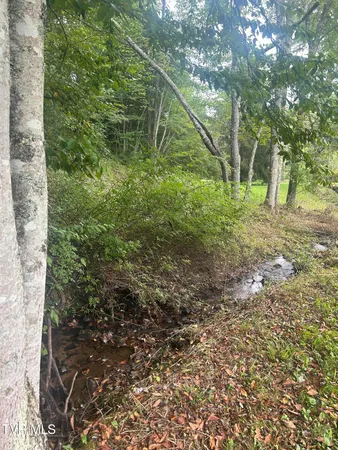 $449,900 | 21240 Locust Branch Road, Damascus, VA 24236