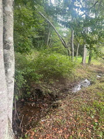 $449,900 | 21240 Locust Branch Road, Damascus, VA 24236