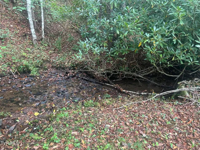 $449,900 | 21240 Locust Branch Road, Damascus, VA 24236