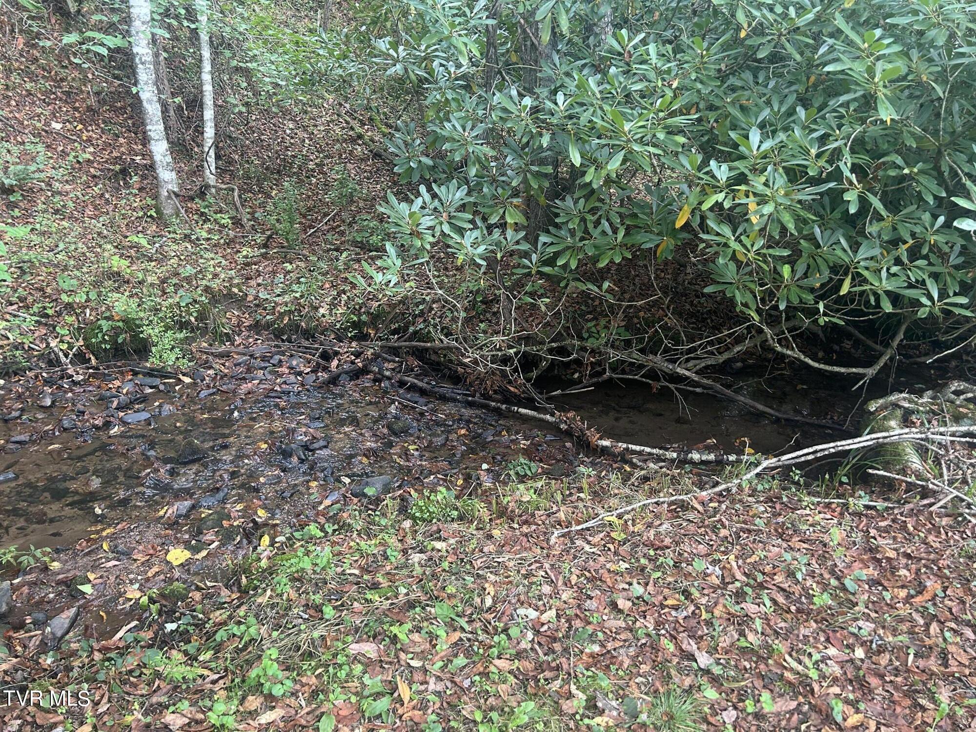 21240 Locust Branch Road Damascus, VA 24236 - Photo 45 of 58 F3D6FA1A-FB54-4081-B4BB-3BFB6A23D820