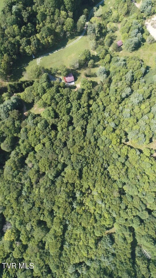 21240 Locust Branch Road Damascus, VA 24236 - Photo 52 of 58 13D87E67-16D3-4B19-AECB-AE9A74E1B180