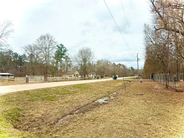 a view of a yard with a tree