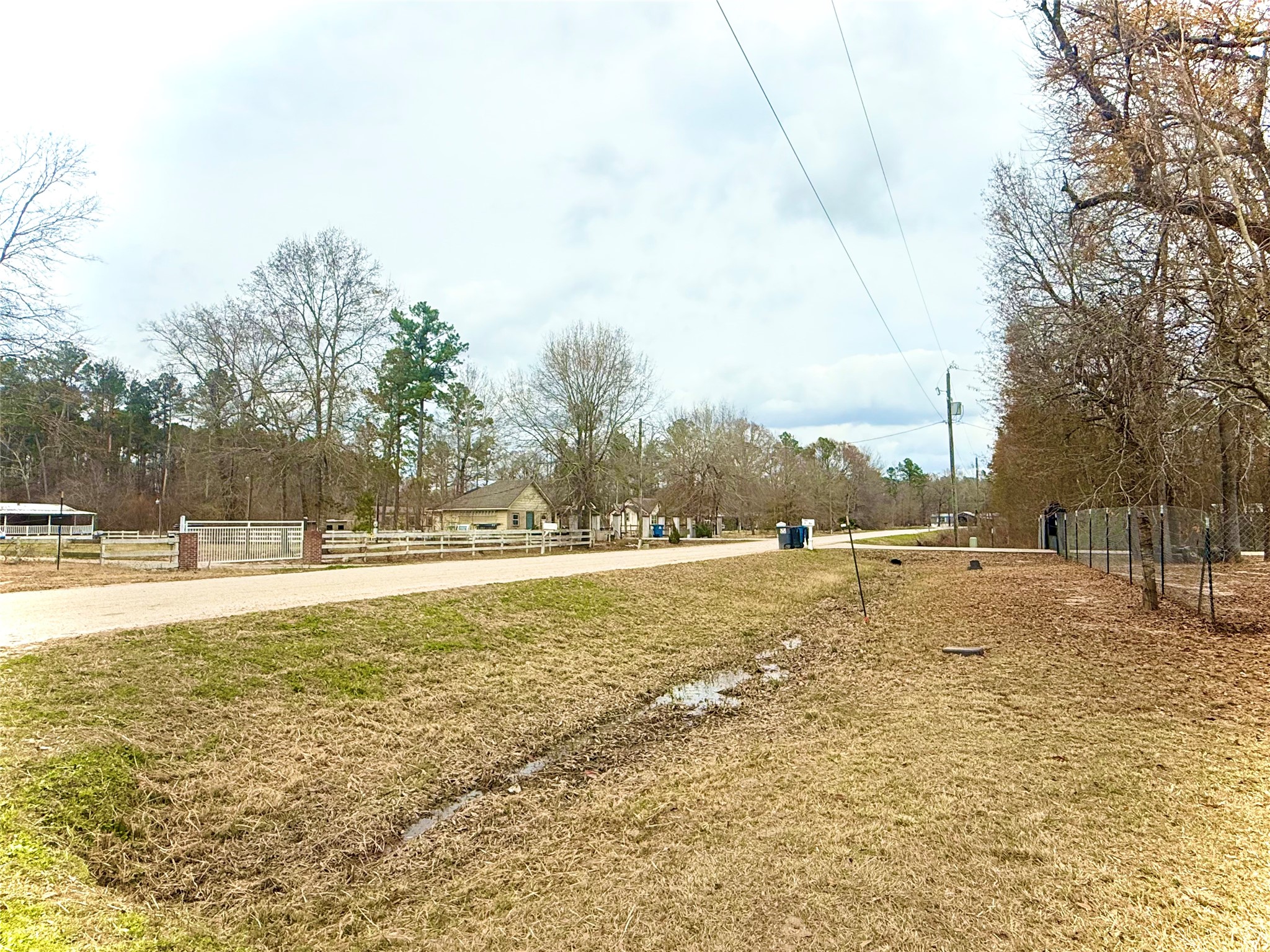 14912 Hannah Way Conroe, TX 77302 - Photo 5 of 20 a view of yard with swimming pool and trees