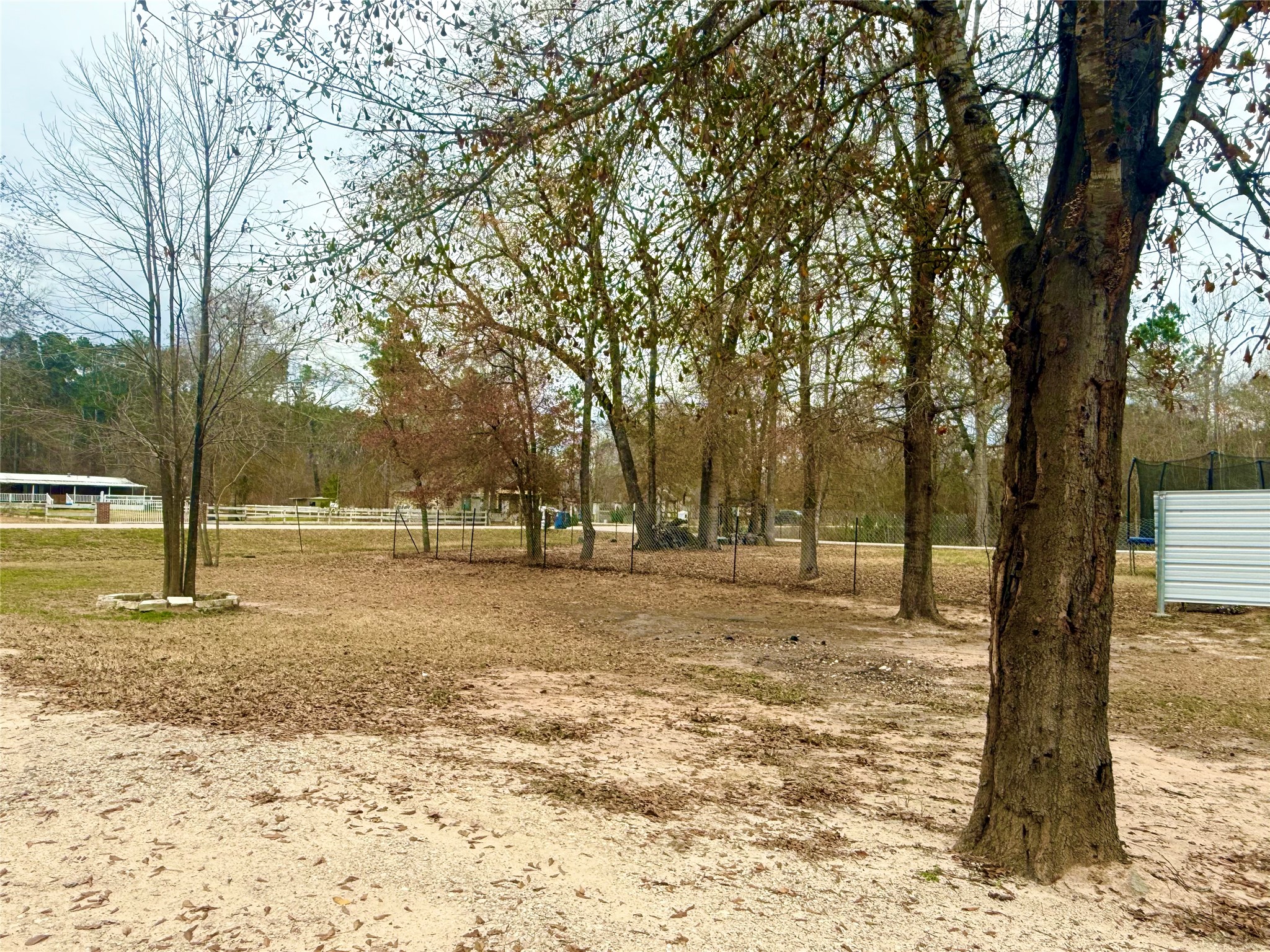 14912 Hannah Way Conroe, TX 77302 - Photo 6 of 20 a view of a yard with a tree