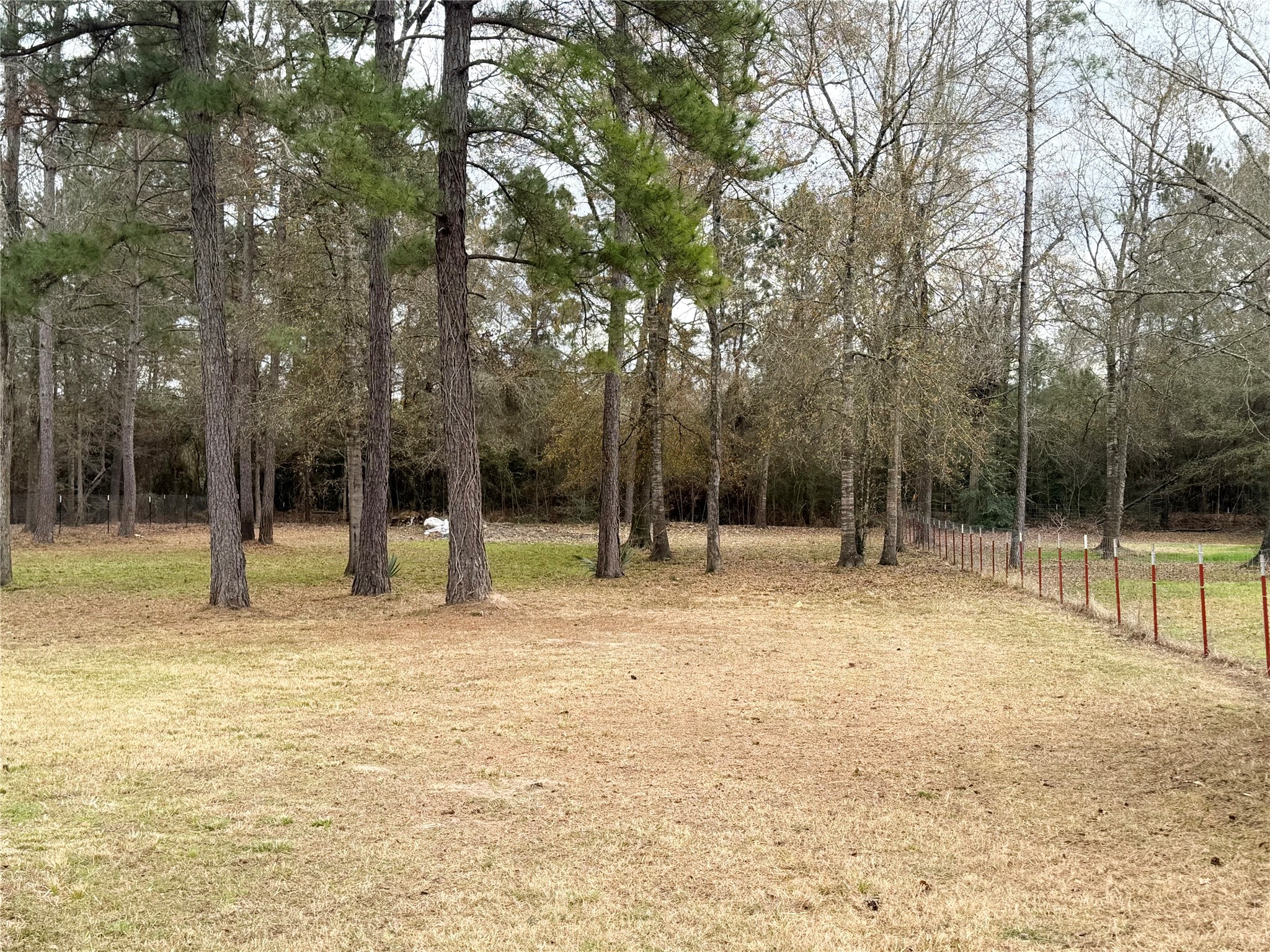 14912 Hannah Way Conroe, TX 77302 - Photo 10 of 20 a backyard of a house with swimming pool and tree
