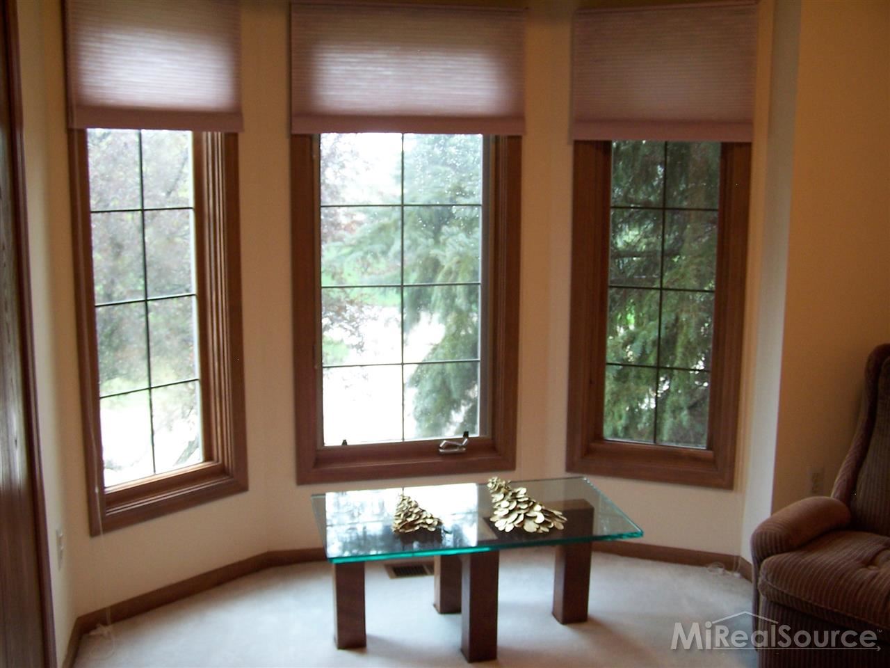 220 Bourbon Court Rochester, MI 48307 - Photo 24 of 28 31193081-23.JPG