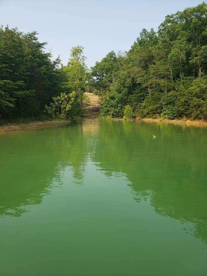 3051 Buck Horn Road Sevierville, TN 37876 - Photo 11 of 11 Gallery Image 11