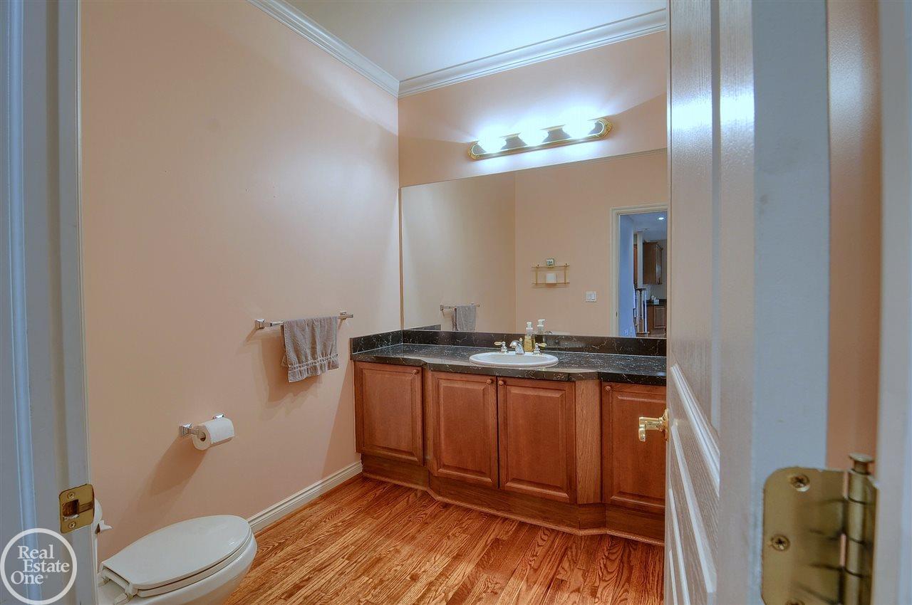 538 Springview Drive Rochester, MI 48307 - Photo 53 of 58 50031002-52.JPG