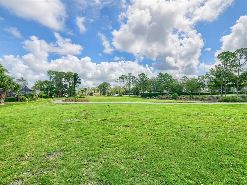 11228 Windrush Circle Hudson, FL 34667 - Photo 40 of 67 a view of a field with grass and trees