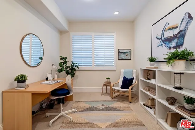 a living room with furniture a rug and a potted plant