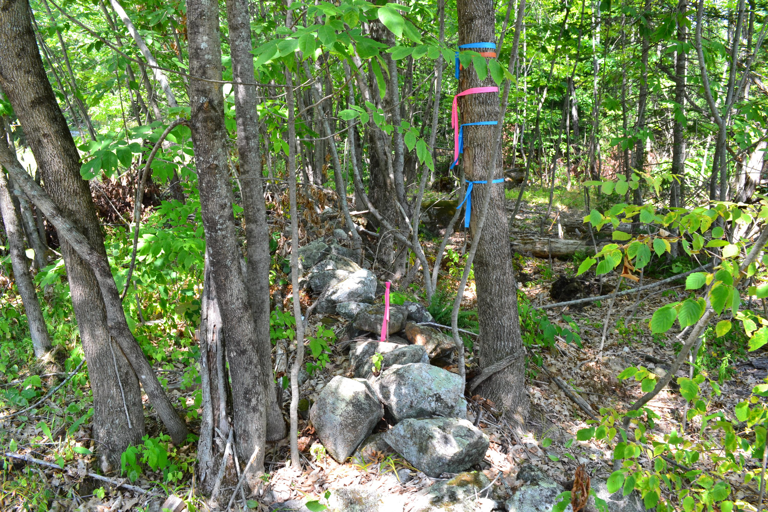 0 Hovey Luce Road Mount Vernon, ME 04352 - Photo 4 of 8 DSC_0032