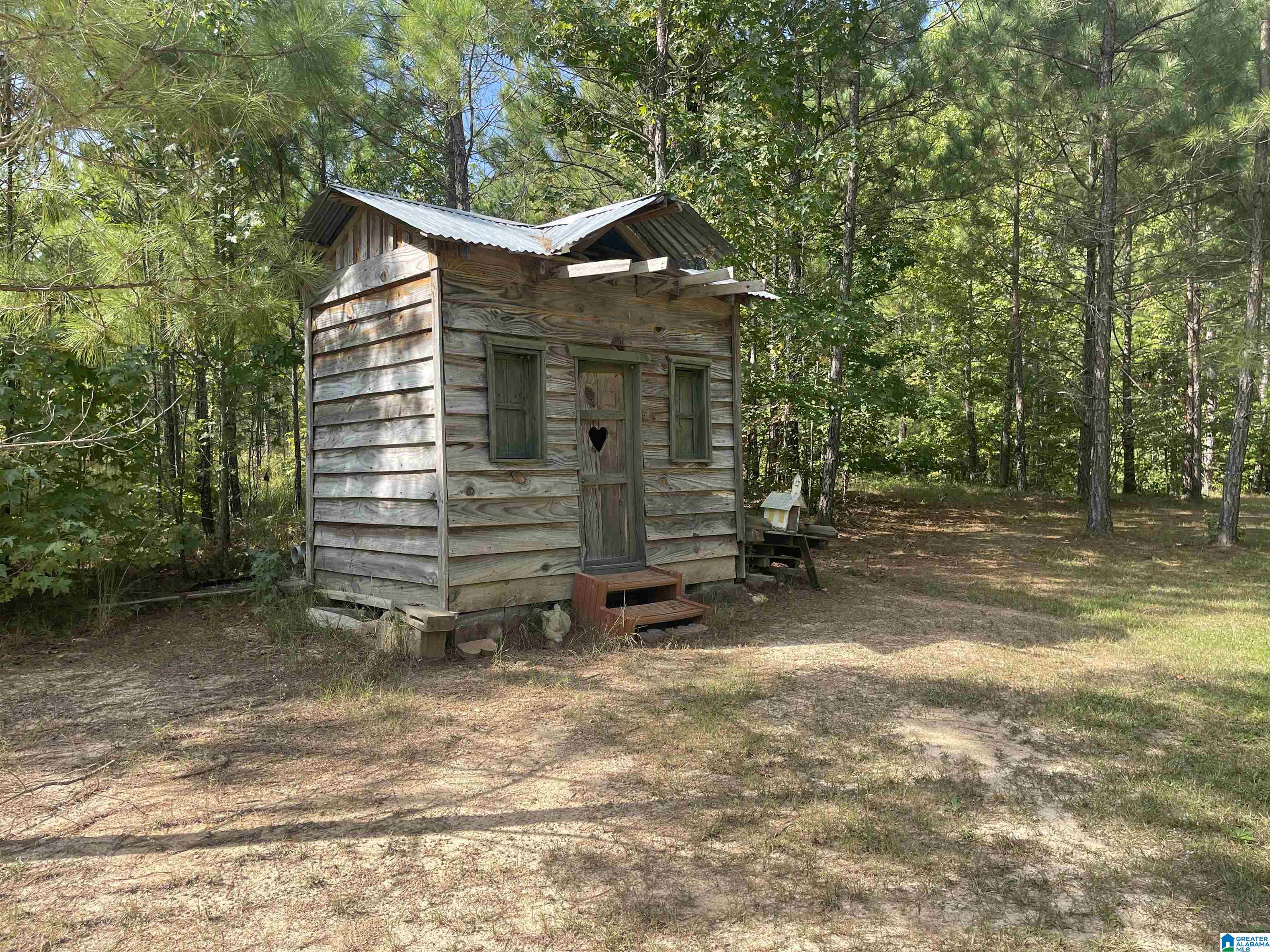 3304 Possum Trot Road Piedmont, AL 36272 - Photo 43 of 60