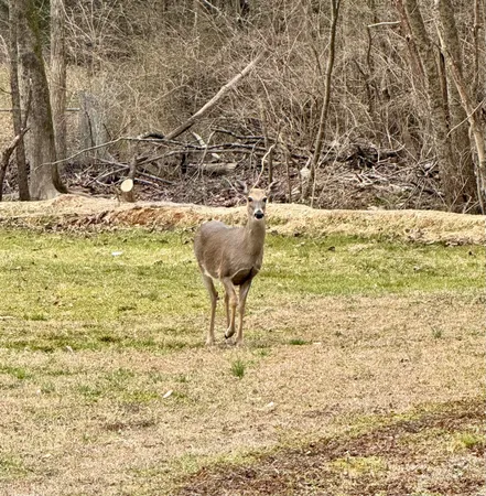 $395,000 | 959 Lower Mill Road, Hixson, TN 37343