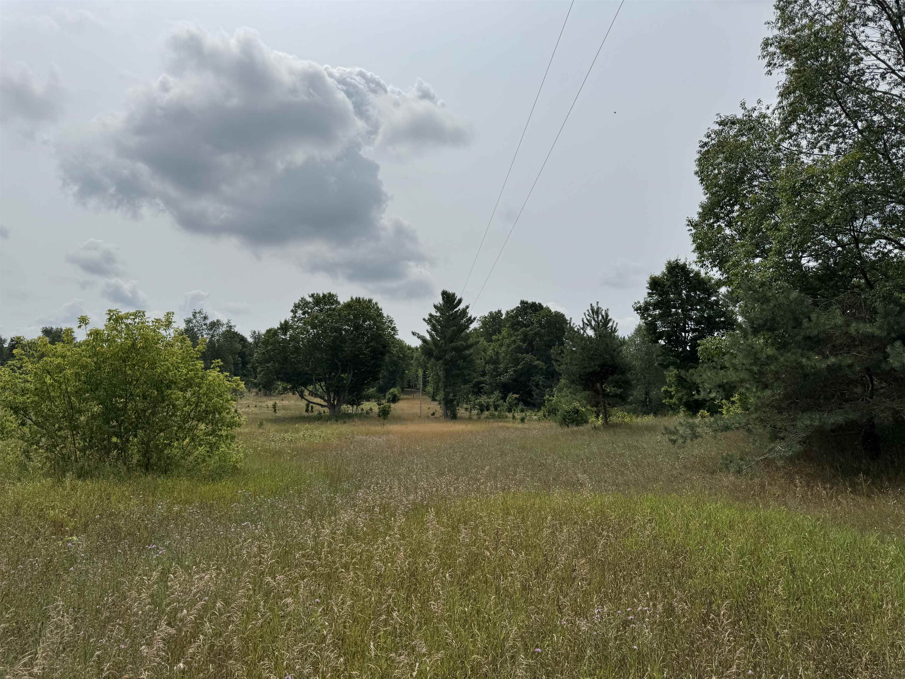 22015 Benton Road Copemish, MI 49625 - Photo 63 of 65 1949341-abe0b92a-34ce-4a37-b3b3-5f096c461cbc.JPG