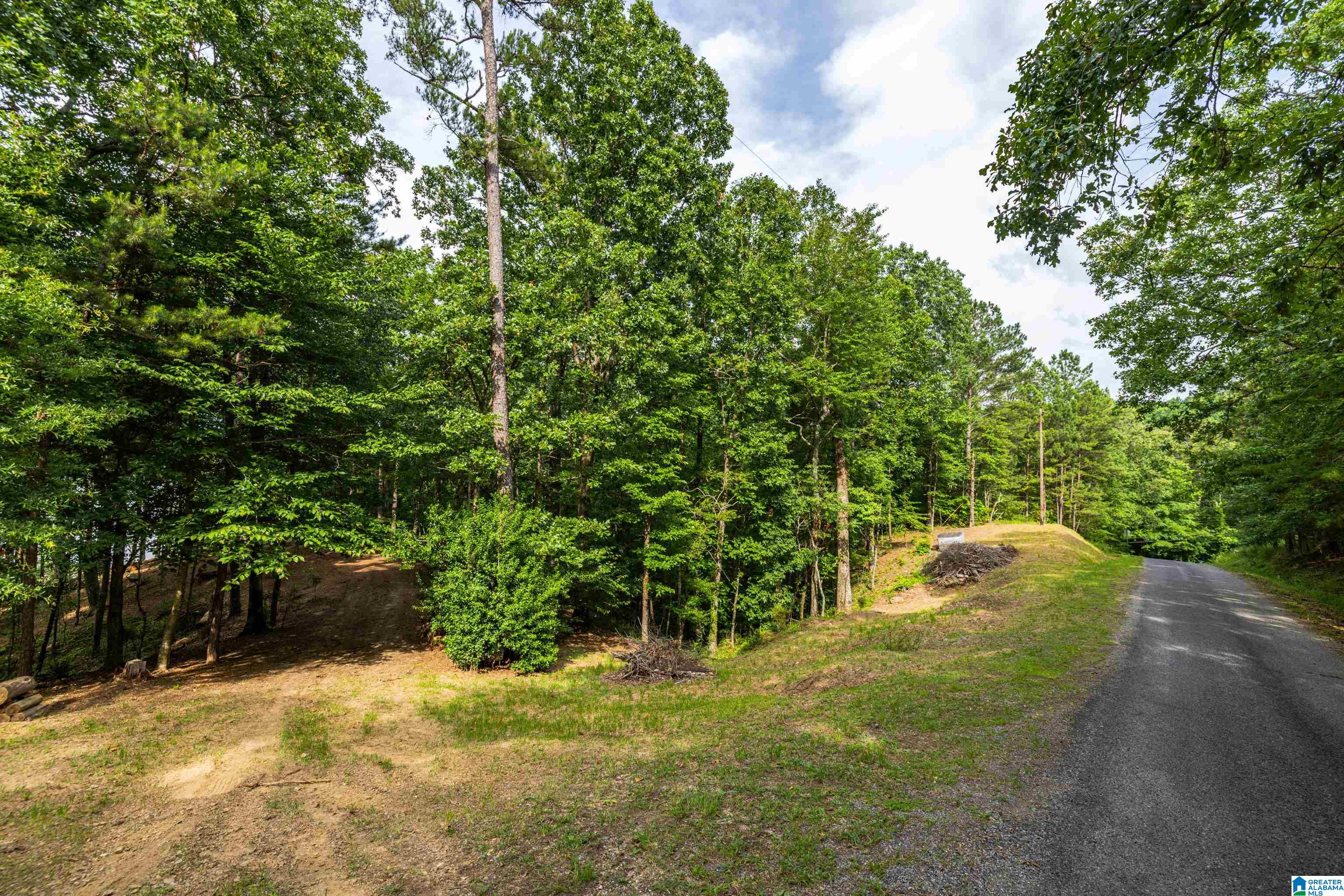 58 East Sunset Boulevard Oneonta, AL 35121 - Photo 21 of 40