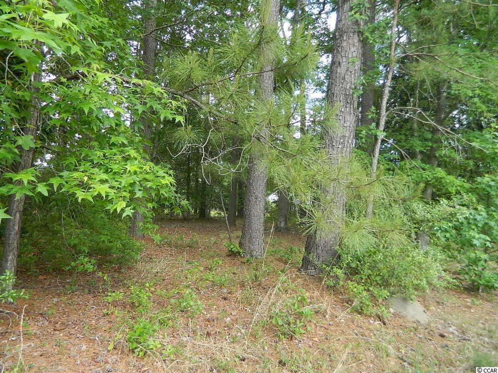 567 Francis Parker Road Georgetown, SC 29440 - Photo 4 of 7 Gallery Image 4