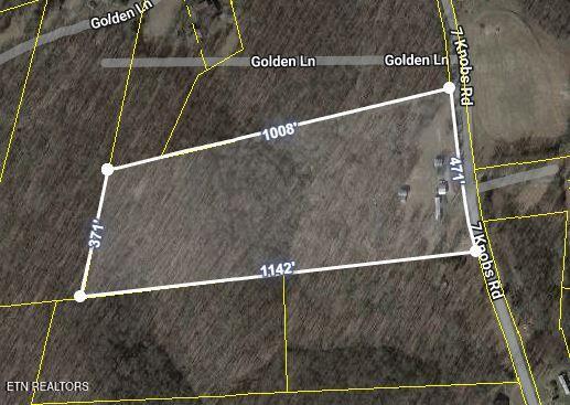 2191 7 Knobs Road Gainesboro, TN 38562 - Photo 30 of 30 Capture