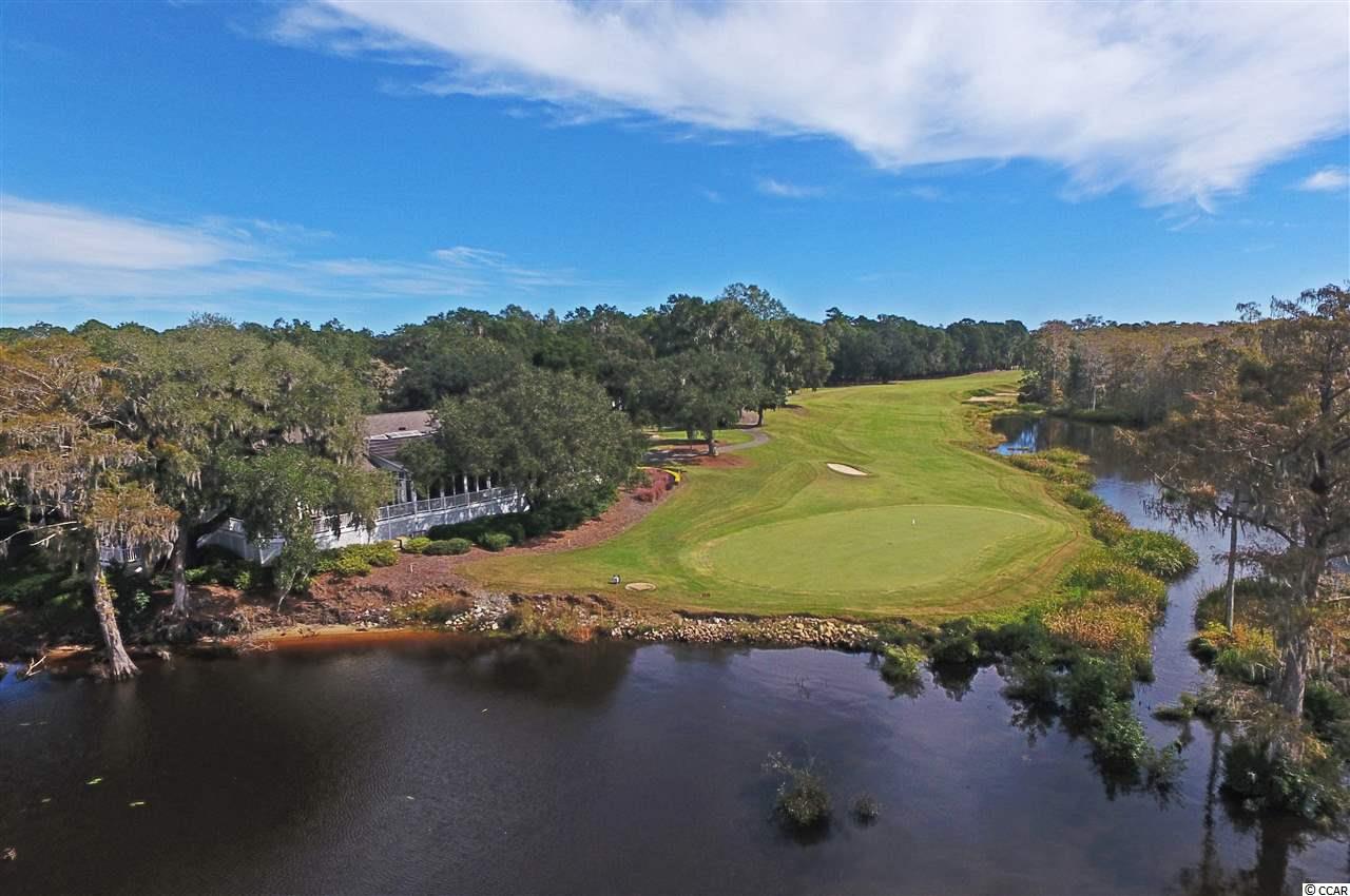 4515 Carriage Run Circle Murrells Inlet, SC 29576 - Photo 35 of 39 Gallery Image 35