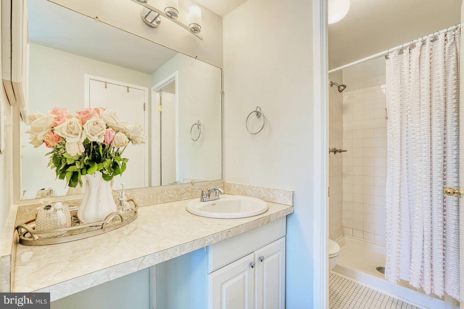 7900 Bentley Village Drive, Unit 11B Springfield, VA 22152 - Photo 28 of 42 Main room full bathroom.