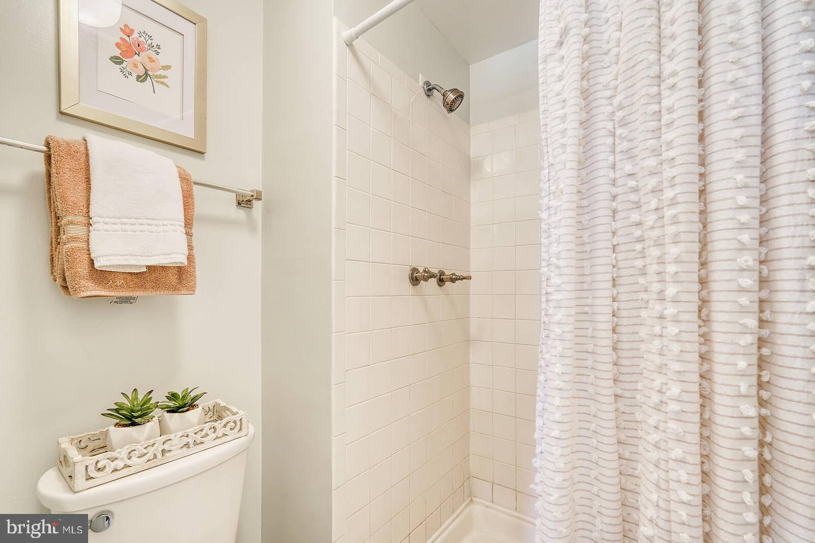 7900 Bentley Village Drive, Unit 11B Springfield, VA 22152 - Photo 30 of 42 Main bathroom shower.