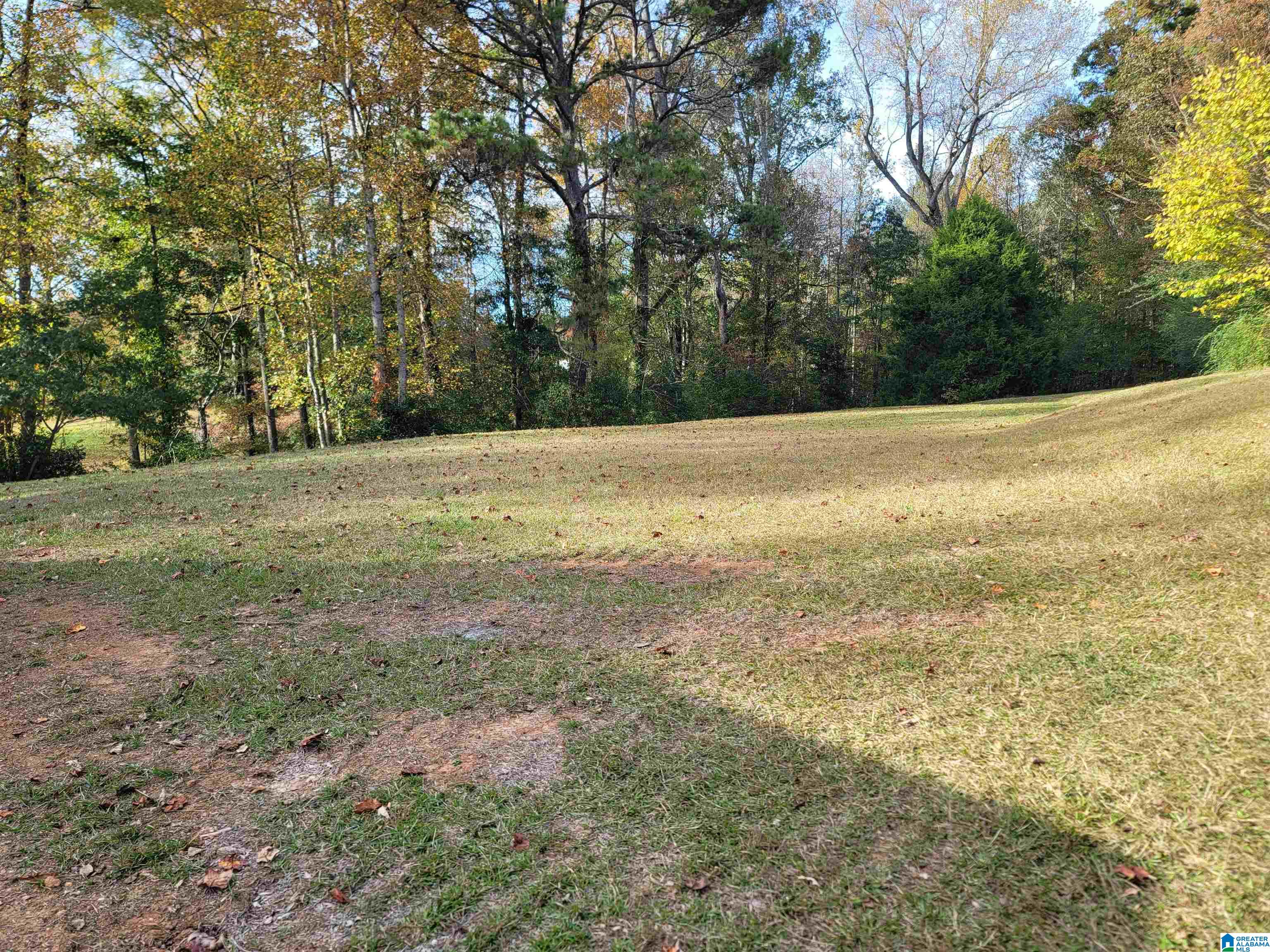 3091 Highway 78 Heflin, AL 36264 - Photo 12 of 44