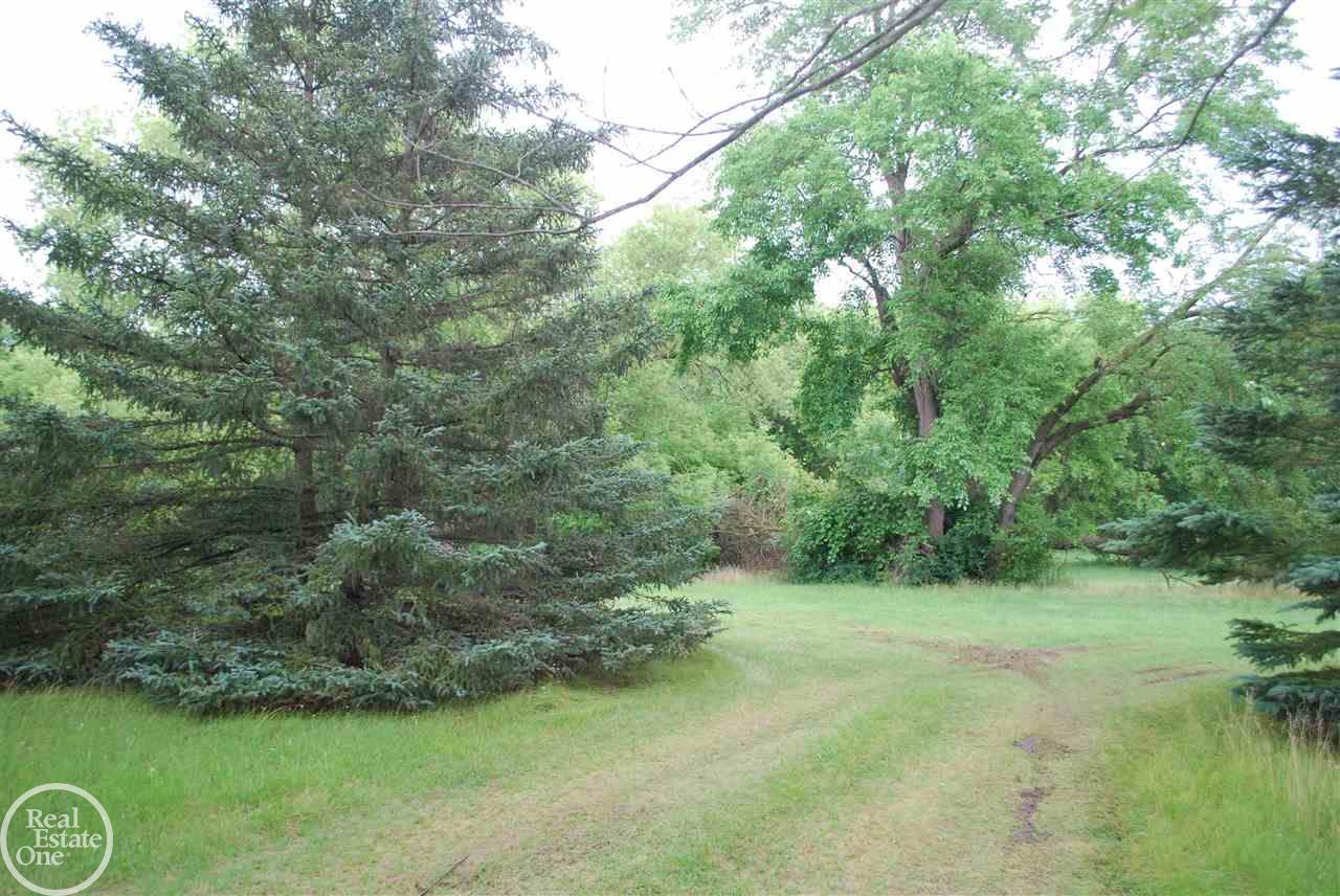 68320 Powell Road Washington, MI 48095 - Photo 25 of 34 50046971-24.JPG