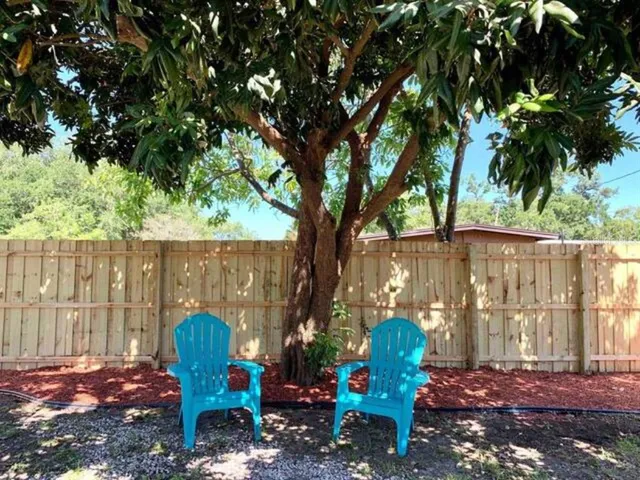 a view of a chairs and table in the backyard