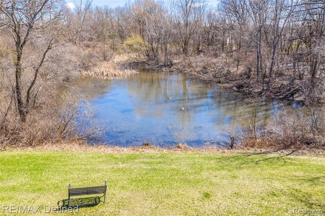 1083 Ridgeview Circle Lake Orion, MI 48362 - Photo 43 of 46 Your own pond to skate on!