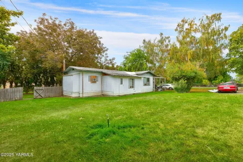 a view of a backyard with plants and large trees