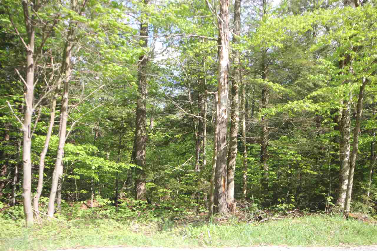 Lot 6 West Jamaica Road Stratton, VT 05360 - Photo 1 of 12