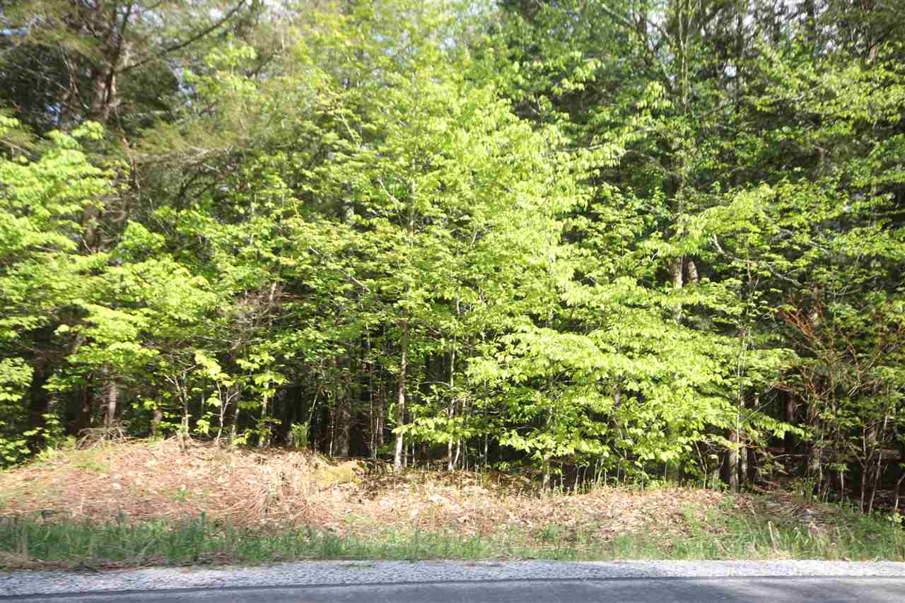 Lot 6 West Jamaica Road Stratton, VT 05360 - Photo 3 of 12
