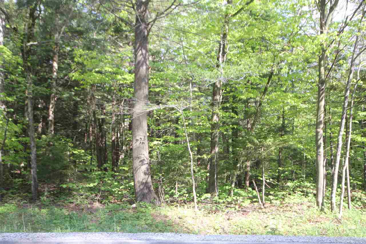 Lot 6 West Jamaica Road Stratton, VT 05360 - Photo 4 of 12