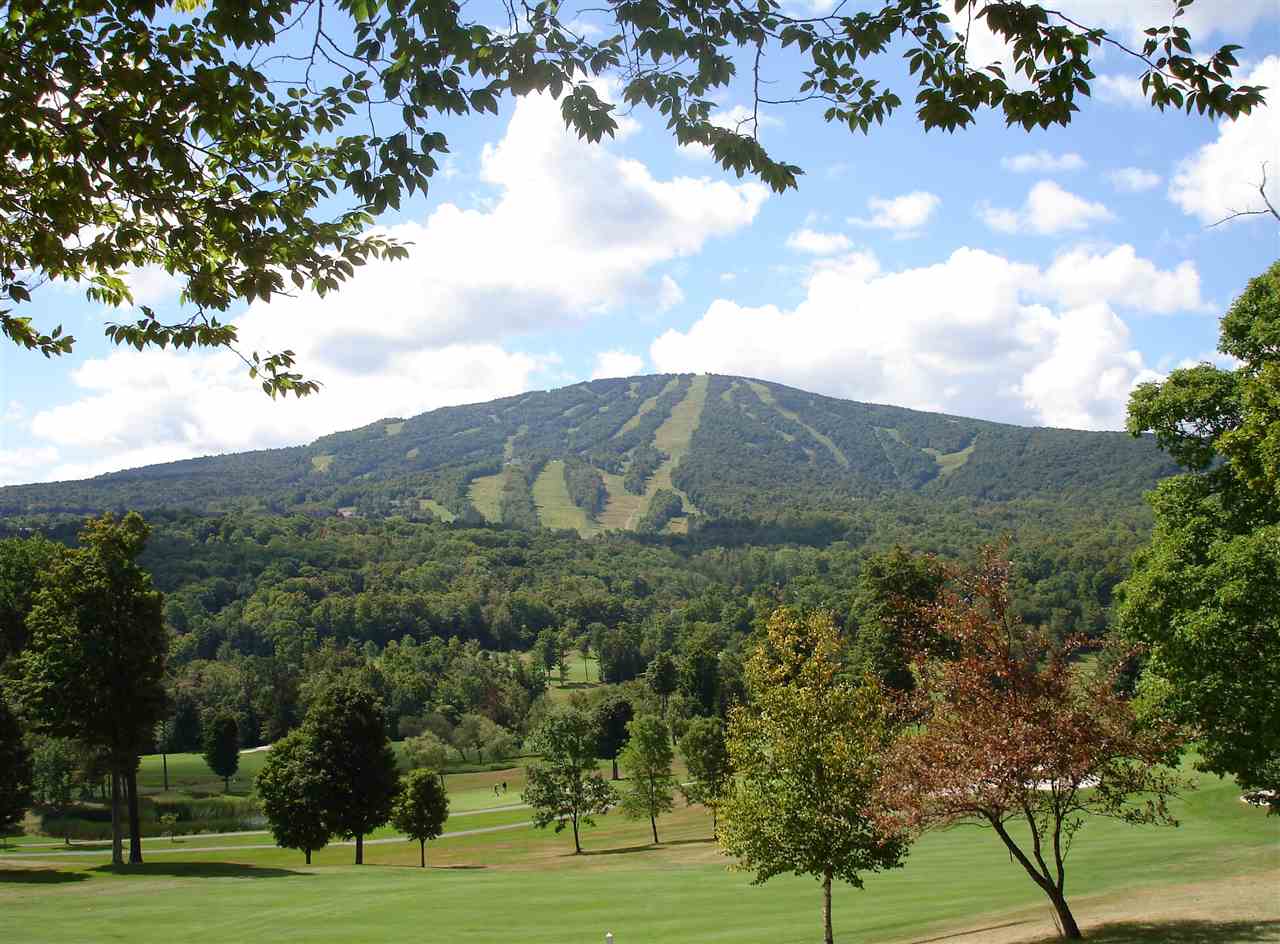 Lot 6 West Jamaica Road Stratton, VT 05360 - Photo 10 of 12