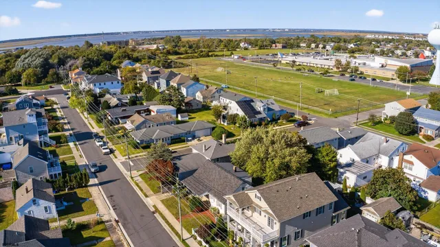 a living room with furniture potted plant and a window