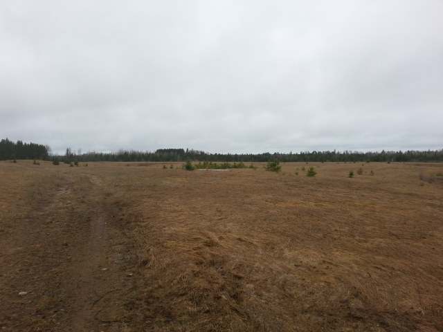 7425 Hwy 17 Sugar Camp Rhinelander, WI 54501 - Photo 15 of 20 Gallery Image 15