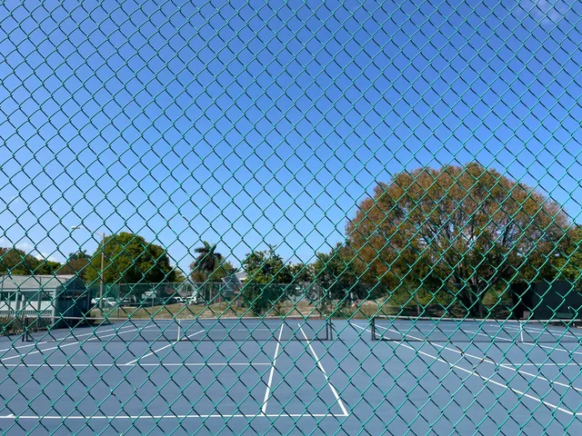 a view of a swimming pool with a patio and a garden
