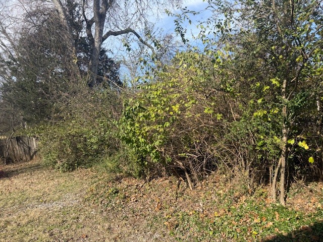 1533 Old Lascassas Road Murfreesboro, TN 37130 - Photo 15 of 17 a view of a yard with plants and wooden fence