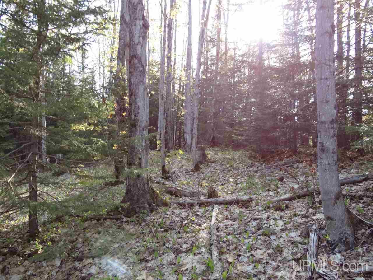 Tbd Rauhala Road, Unit PARCEL 3 Atlantic Mine, MI 49931 - Photo 16 of 19