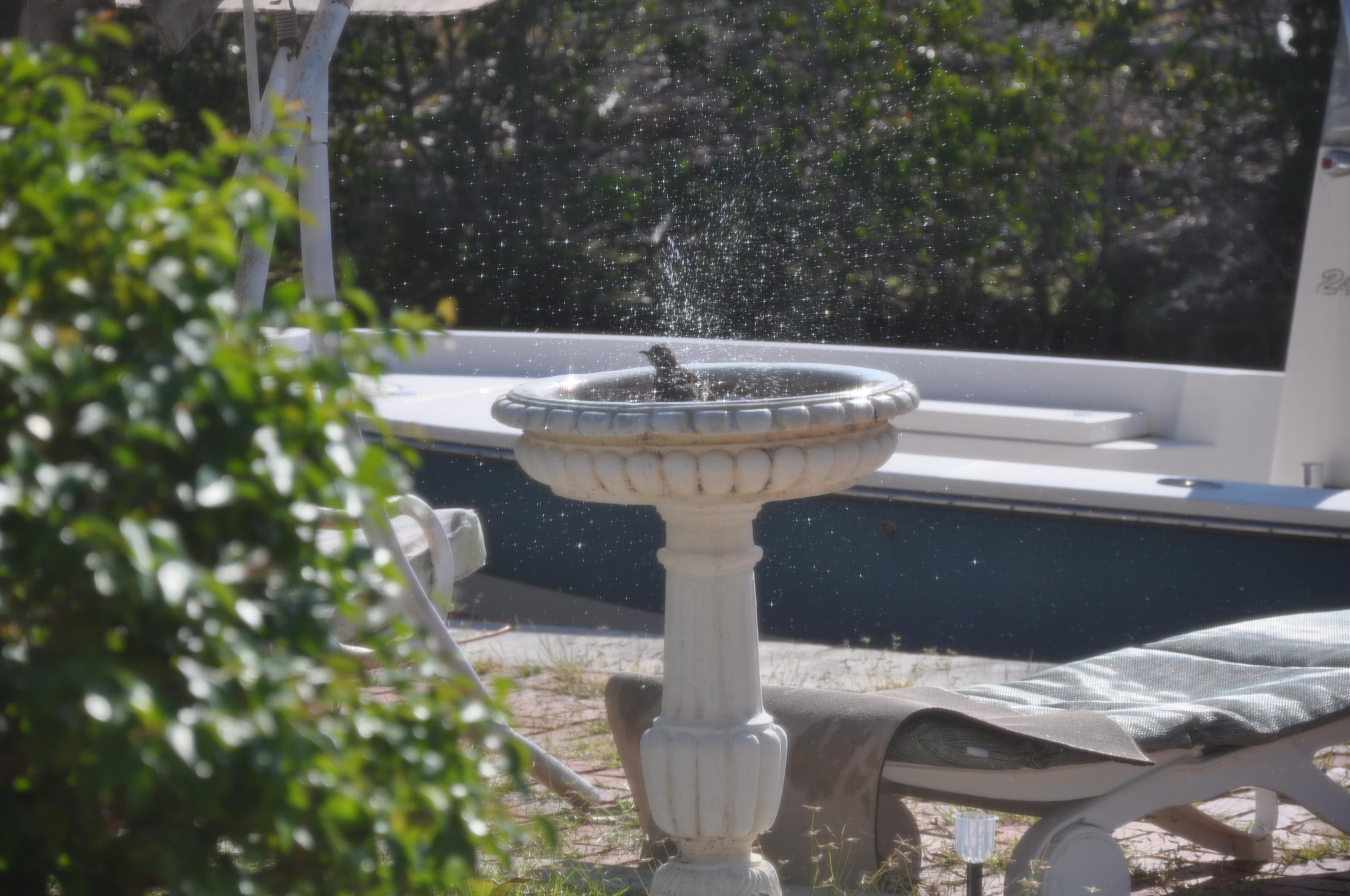 3954 No Name Road Big Pine Key, FL 33043 - Photo 19 of 21 38