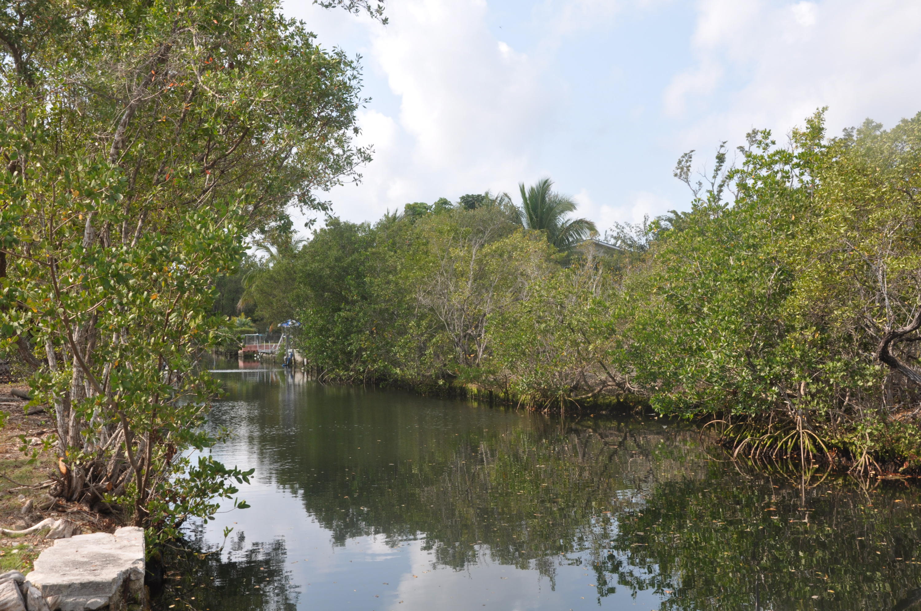 3954 No Name Road Big Pine Key, FL 33043 - Photo 10 of 21 28