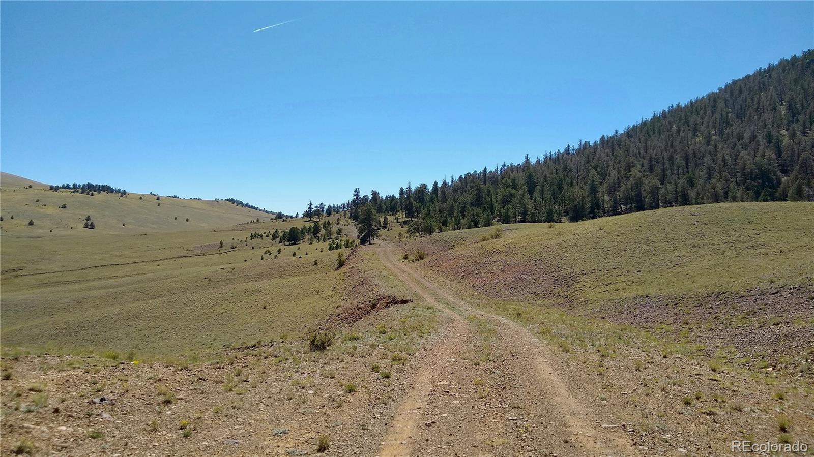 3 Mile Mountain Road Hartsel, CO 80449 - Photo 11 of 24 a view of a dry yard with wooden fence