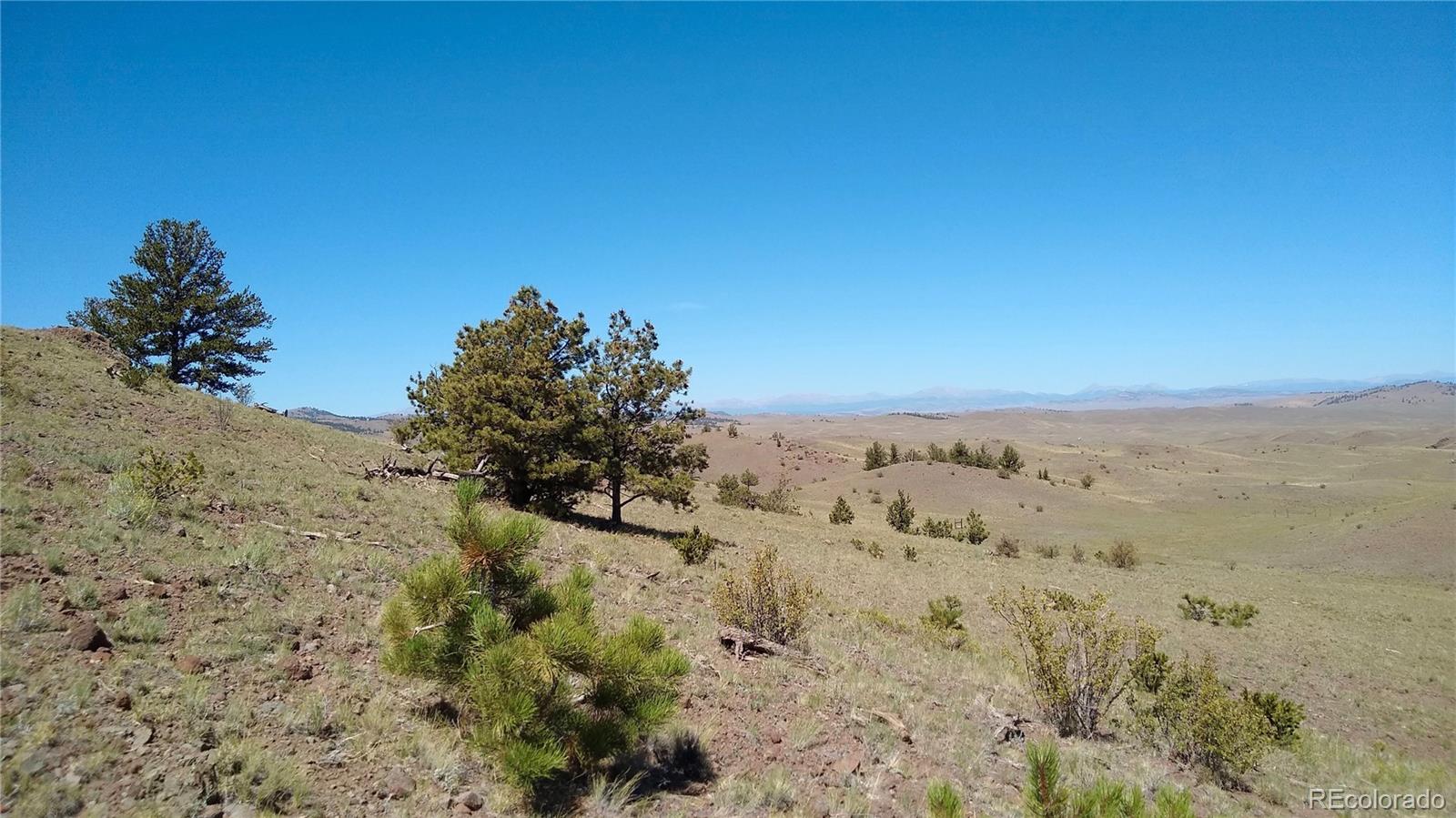 3 Mile Mountain Road Hartsel, CO 80449 - Photo 12 of 24 a view of a dry yard with trees in the background