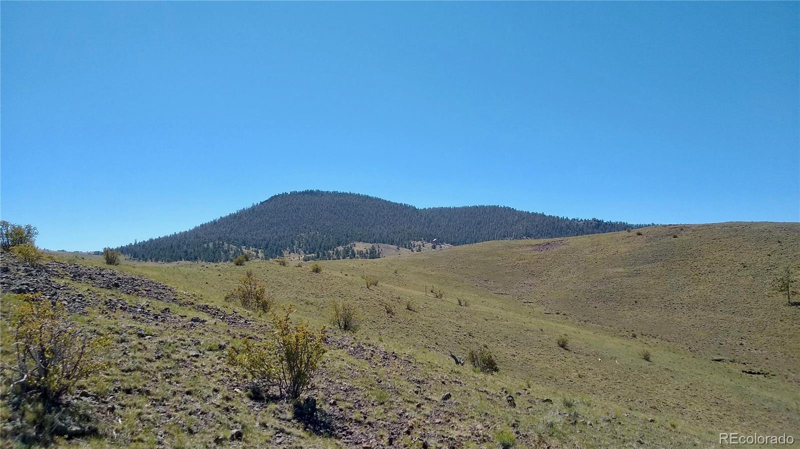 3 Mile Mountain Road Hartsel, CO 80449 - Photo 15 of 24 a view of mountain and a lake view