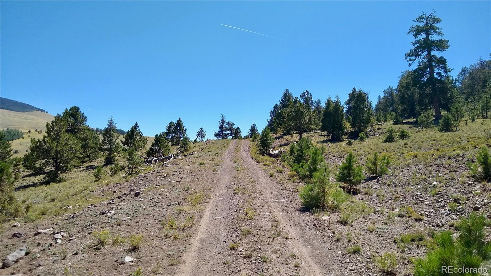 3 Mile Mountain Road Hartsel, CO 80449 - Photo 2 of 24 a view of a dirt road with trees in the background