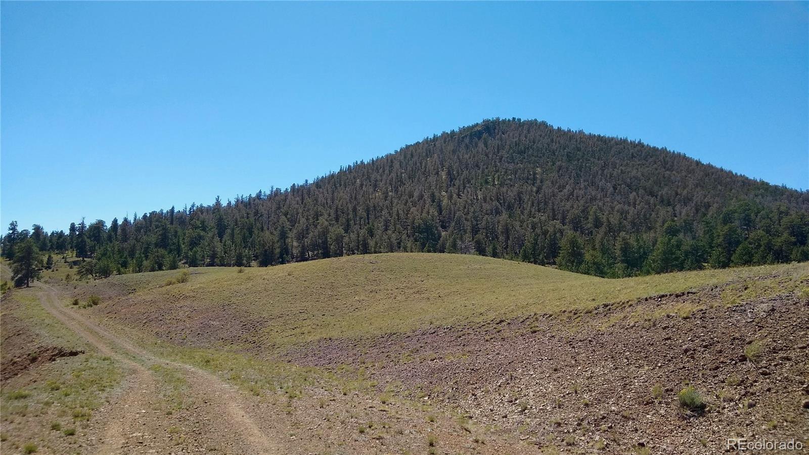 3 Mile Mountain Road Hartsel, CO 80449 - Photo 22 of 24 a backyard of a house