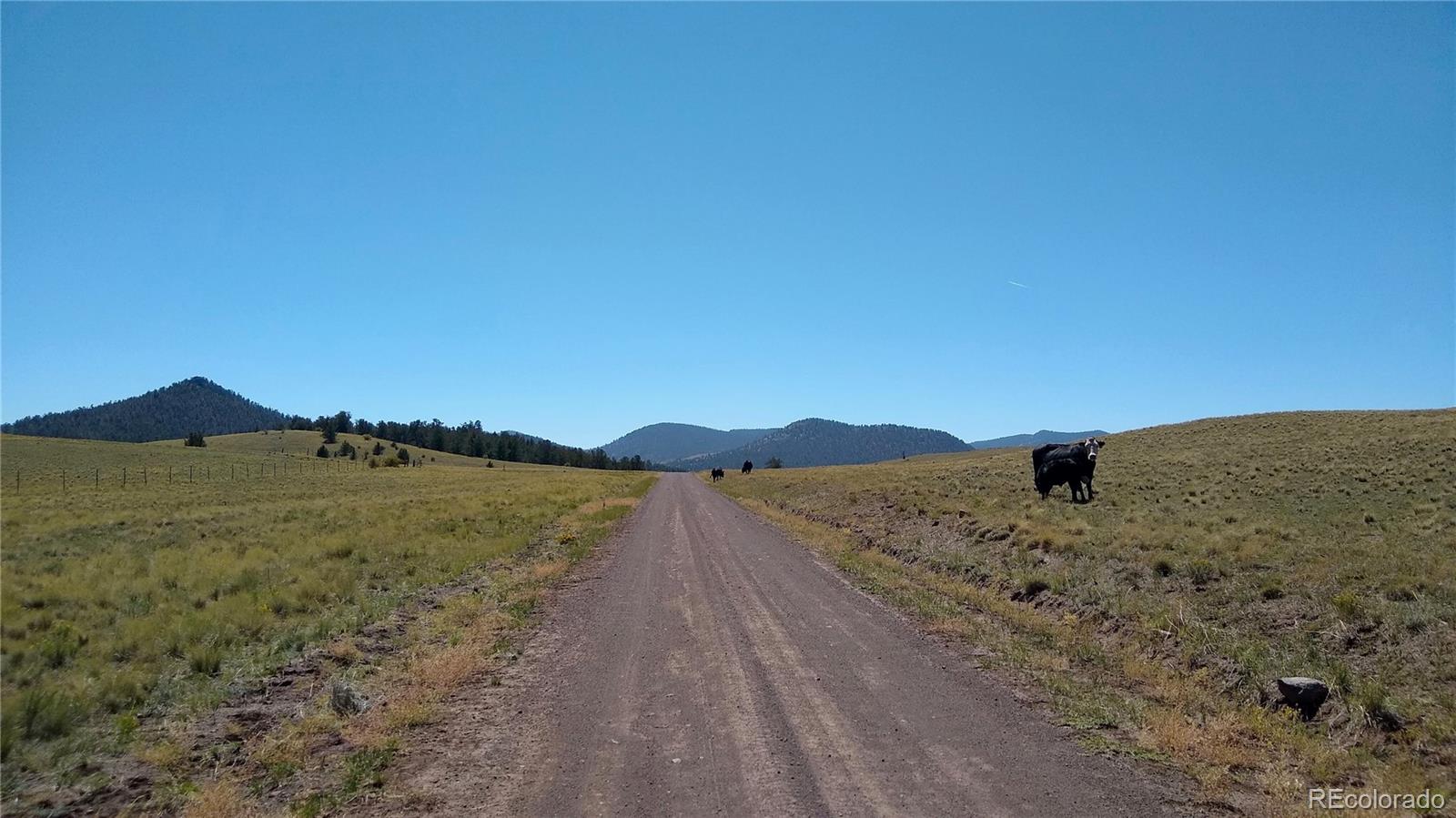 3 Mile Mountain Road Hartsel, CO 80449 - Photo 24 of 24 a view of an ocean beach and mountain