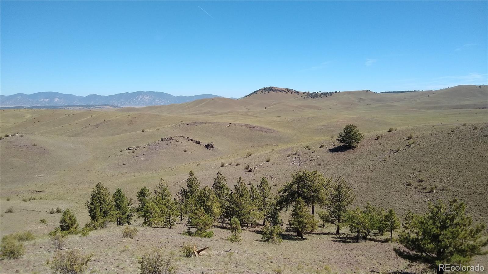 3 Mile Mountain Road Hartsel, CO 80449 - Photo 4 of 24 a view of lake with mountain