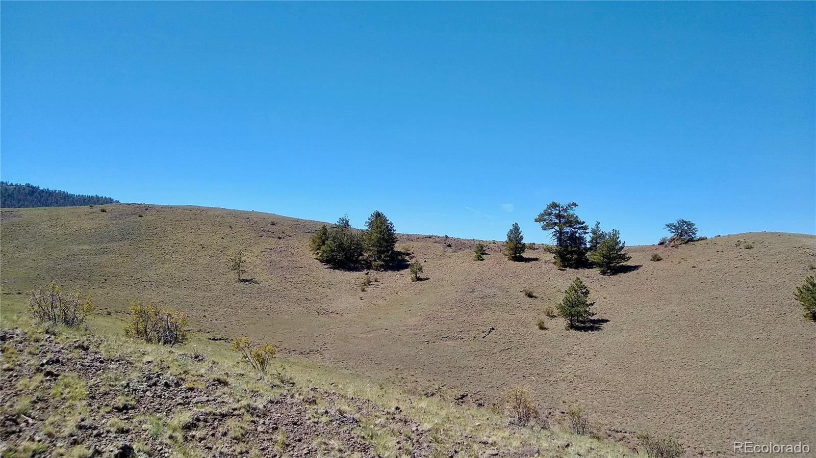 3 Mile Mountain Road Hartsel, CO 80449 - Photo 7 of 24 a view of beach and background