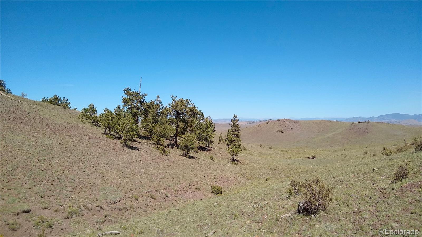 3 Mile Mountain Road Hartsel, CO 80449 - Photo 10 of 24 a view of a dry field with trees in background